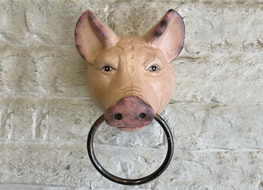pig head with ring